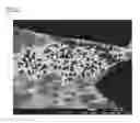 Fig. 04 - Sintered compact and cutting tool