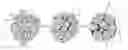 Fig. 01 - QUANTUM CARRIER FOR IMPROVING SOIL FUNCTION AND METHOD OF PREPARATION THEREOF