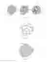 Fig. 02 - QUANTUM CARRIER FOR IMPROVING SOIL FUNCTION AND METHOD OF PREPARATION THEREOF