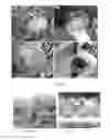 Fig. 07 - QUANTUM CARRIER FOR IMPROVING SOIL FUNCTION AND METHOD OF PREPARATION THEREOF
