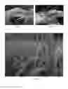 Fig. 08 - QUANTUM CARRIER FOR IMPROVING SOIL FUNCTION AND METHOD OF PREPARATION THEREOF