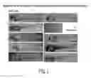 Fig. 02 - Skin lightening compounds