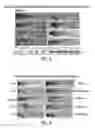 Fig. 04 - Skin lightening compounds