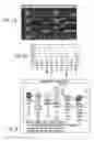 Fig. 06 - Skin lightening compounds