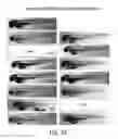 Fig. 08 - Skin lightening compounds