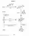Fig. 02 - Bifunctional compounds and use for reducing uric acid levels