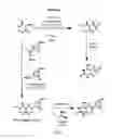 Fig. 06 - Bifunctional compounds and use for reducing uric acid levels