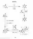 Fig. 07 - Bifunctional compounds and use for reducing uric acid levels