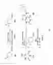 Fig. 08 - Bifunctional compounds and use for reducing uric acid levels