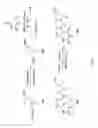 Fig. 16 - Bifunctional compounds and use for reducing uric acid levels