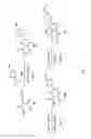 Fig. 18 - Bifunctional compounds and use for reducing uric acid levels
