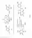 Fig. 22 - Bifunctional compounds and use for reducing uric acid levels