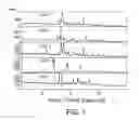 Fig. 02 - Solid forms of 2-(4-chlorophenyl)-N-((2-(2,6-dioxopiperidin-3-yl)-1-oxoisoindolin-5-yl)methyl)-2,2-difluoroacetamide, and their pharmaceutical compositions and uses