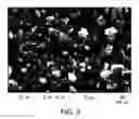 Fig. 04 - Solid forms of 2-(4-chlorophenyl)-N-((2-(2,6-dioxopiperidin-3-yl)-1-oxoisoindolin-5-yl)methyl)-2,2-difluoroacetamide, and their pharmaceutical compositions and uses
