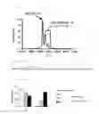 Fig. 10 - Benzothiazole compound and medicine containing same