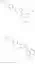 Fig. 40 - Compositions and methods for inhibiting BMP