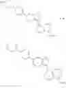 Fig. 48 - Compositions and methods for inhibiting BMP