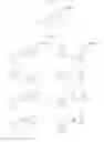 Fig. 13 - Immunoregulatory agents