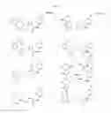 Fig. 14 - Immunoregulatory agents