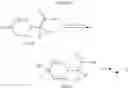 Fig. 20 - Immunoregulatory agents