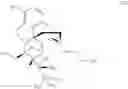 Fig. 25 - Acetate salt of buprenorphine and methods for preparing buprenorphine