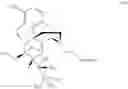 Fig. 26 - Acetate salt of buprenorphine and methods for preparing buprenorphine