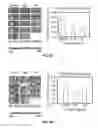 Fig. 15 - COMPOSITIONS AND METHODS FOR TREATING NEURODEGENERATIVE DISEASE