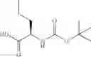 Fig. 116 - Heteroaryl substituted compounds as RORγ inhibitors