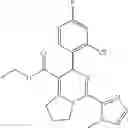 Fig. 239 - Dihydropyrimido fused ring derivative as HBV inhibitor