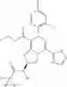 Fig. 303 - Dihydropyrimido fused ring derivative as HBV inhibitor