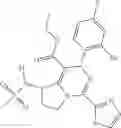 Fig. 307 - Dihydropyrimido fused ring derivative as HBV inhibitor