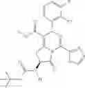 Fig. 378 - Dihydropyrimido fused ring derivative as HBV inhibitor