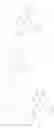 Fig. 505 - Dihydropyrimido fused ring derivative as HBV inhibitor