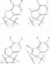 Fig. 681 - Dihydropyrimido fused ring derivative as HBV inhibitor