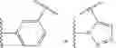 Fig. 11 - Macrocyclic compounds and methods of treatment