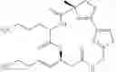 Fig. 26 - Macrocyclic compounds and methods of treatment