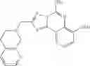 Fig. 168 - Heterobicyclo-substituted [1,2,4]triazolo[1,5-c]quinazolin-5-amine compounds with A2A anatagonist properties
