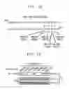 Fig. 04 - COMPOSITION FOR TREATING SEPSIS OR SEPTIC SHOCK COMPRISING THE PEPTIDE ORIGINATED FROM THE SMAD6