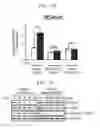 Fig. 06 - COMPOSITION FOR TREATING SEPSIS OR SEPTIC SHOCK COMPRISING THE PEPTIDE ORIGINATED FROM THE SMAD6