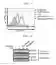Fig. 22 - COMPOSITION FOR TREATING SEPSIS OR SEPTIC SHOCK COMPRISING THE PEPTIDE ORIGINATED FROM THE SMAD6