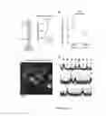 Fig. 07 - Red genetically encoded calcium indicators and methods of use