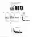 Fig. 20 - Red genetically encoded calcium indicators and methods of use