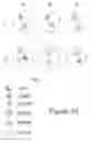 Fig. 04 - LIGHT-SENSITIVE ION-PASSING MOLECULES