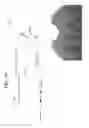 Fig. 19 - LIGHT-SENSITIVE ION-PASSING MOLECULES
