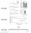 Fig. 33 - LIGHT-SENSITIVE ION-PASSING MOLECULES