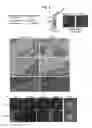 Fig. 06 - NUCLEOTIDE REPEAT EXPANSION-ASSOCIATED POLYPEPTIDES AND USES THEREOF