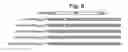 Fig. 09 - NUCLEOTIDE REPEAT EXPANSION-ASSOCIATED POLYPEPTIDES AND USES THEREOF