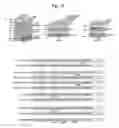 Fig. 13 - NUCLEOTIDE REPEAT EXPANSION-ASSOCIATED POLYPEPTIDES AND USES THEREOF