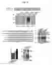 Fig. 14 - NUCLEOTIDE REPEAT EXPANSION-ASSOCIATED POLYPEPTIDES AND USES THEREOF