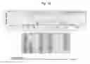 Fig. 19 - NUCLEOTIDE REPEAT EXPANSION-ASSOCIATED POLYPEPTIDES AND USES THEREOF